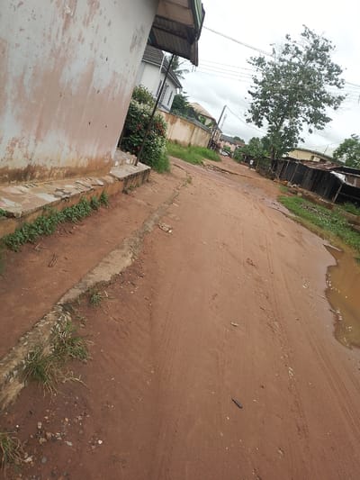 The image depicts a street in Owerri, Nigeria, characterized by a muddy, dirt road with tire tracks. The road is lined on the left by a weathered, off-white building with a rough texture and patches of pinkish-brown discoloration. A concrete ledge with a few steps runs along the base of this building, with sparse green vegetation growing from its edges.

On the right side of the road, a row of makeshift structures, likely made of corrugated metal, stands. Beyond these structures, trees and other buildings are visible, suggesting a residential or commercial area. A large tree with dense foliage dominates the mid-ground on the right. The sky is overcast with clouds.

Further down the road, a person in a white t-shirt and dark shorts is walking away from the camera. The presence of puddles of muddy water indicates that it has rained recently or there is poor drainage. The overall scene suggests a developing urban environment with unpaved roads and informal settlements.