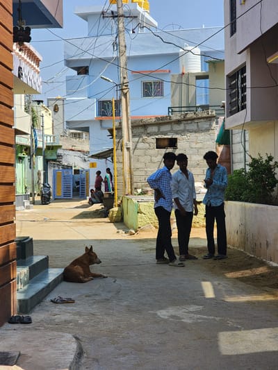 The image depicts a sunlit residential street or alleyway in Pedda Kammavaripalli, India. In the immediate foreground, a light brown dog lies on a concrete surface to the left, near concrete steps and two pairs of sandals. To the right, three young men stand and interact; the man on the right is observing a smartphone. They wear collared shirts (blue and white plaid, light-colored long-sleeved, and light blue patterned, respectively) and dark pants. The street, a mix of concrete and compacted dirt, extends into the background, flanked by various multi-story residential buildings in shades of light blue, cream, and green, featuring windows with grills, balconies, and flat roofs. A prominent utility pole with numerous tangled overhead electrical and communication wires, along with an attached street light, stands centrally. Further down the street, near a light blue metal gate, four additional individuals (two women in traditional attire, one seated, and two men) are visible. A black scooter is parked adjacent to the gate. Yellow water tanks are visible on distant rooftops. The sky is clear and blue, and strong sunlight casts distinct shadows across the scene.