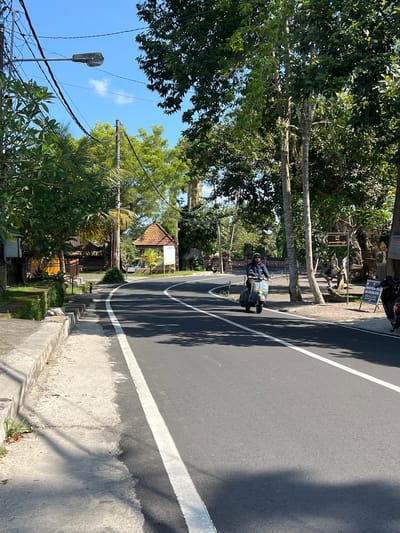 A sunlit road scene in Petulu, Indonesia shows a man on a scooter driving to the right with the scooter positioned on the white line. Lush greenery lines the road on both sides with power lines visible in the lower left. Buildings with distinctive Balinese architecture are seen amongst the trees.