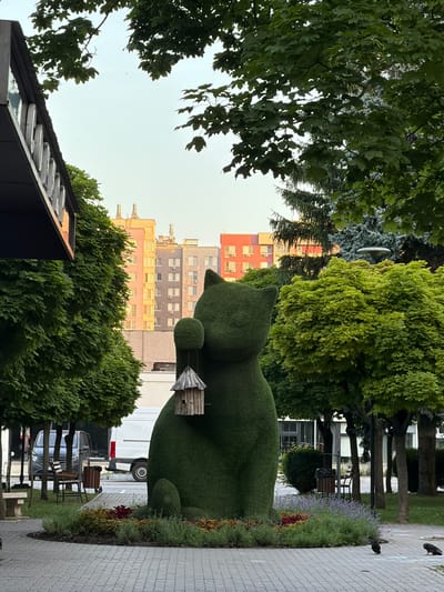 The image shows a large, green topiary sculpture of a cat sitting in a park. The cat is holding a small wooden birdhouse in its paw. The sculpture is surrounded by flowers and grass, and there are trees in the background. In the background, there are several tall buildings. The scene is set in the city of Chișinău, Moldova, in a park area called Valea Morilor Park. The park is a popular recreational area in Chișinău, known for its large lake and green spaces. The cat sculpture is a well-known landmark in the park.