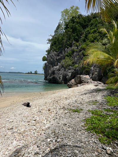 The image shows a tropical beach scene with a rocky cliff face covered in lush green vegetation. The foreground is a beach covered in small white and gray rocks and pebbles, with some sand visible. A dark, gnarled piece of driftwood lies on the pebble beach. To the right, a patch of vibrant green ground cover plants thrives. The turquoise ocean laps gently at the shore, with some rocks or a reef visible in the shallow water. In the background, more islands and landmasses are visible across the water under a cloudy sky. Palm fronds frame the top left and right edges of the image. The location appears to be in Ujongsedheun, Indonesia, known for its natural beauty and coastal landscapes. No people or specific actions are depicted.