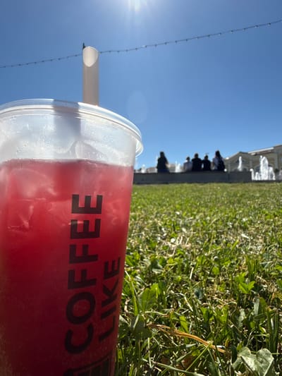 A low-angle, outdoor photograph depicts a clear plastic cup filled with a red, iced beverage, positioned in the foreground on green grass in Dmitrov, Russia. The cup's side prominently features the vertical inscription "COFFEE LIKE" in dark letters. Ice cubes are discernible within the red liquid, and the cup's exterior shows condensation. A white straw extends upwards from the beverage. The grass in the foreground is lush green with some lighter patches and clover. In the blurred background, several indistinct human figures are seated on a low wall or bench. Behind them, multiple water fountains are actively spraying, with water plumes visible against a light-colored building facade that displays architectural details. A string of small lights stretches horizontally across the upper frame, above the cup and straw, under a clear, bright blue sky with a visible sun flare in the upper left corner.