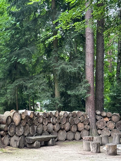 The media file displays a rustic outdoor scene, likely in Vnukovo, Russia. The primary subjects are a stacked arrangement of logs, which appear to be artfully constructed or perhaps a natural formation. The logs are of various sizes and are cut into circular or oval shapes, revealing their cross-sections. They are stacked in an organized, somewhat abstract manner, creating a visual texture of wood grain and rings.
Behind the logs, a dense forest is visible, with tall trees and lush green foliage. The trees appear to be a mix of coniferous and deciduous types. Sunlight filters through the leaves, suggesting it's daytime, possibly late morning or early afternoon, as the light is moderately bright but not harsh. The weather seems pleasant, with no indication of rain or strong winds.
The overall setting evokes a natural, possibly wooded park or a rural area. The ground appears to be a mix of dirt and gravel. The logs themselves might be part of a decorative garden feature, a playground structure, or simply a natural accumulation. There is no visible text in the image. The image has a natural color palette, dominated by greens and browns. The focus is on the texture and form of the wood and the surrounding greenery. There are no people or animals visible, and the scene conveys a sense of tranquility and nature. The orientation of the image is such that the logs are on the right side and the forest on the left, with the sky visible in the upper portions of the forest.