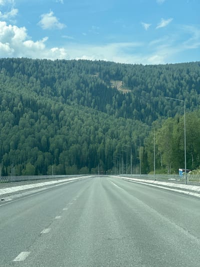 This is a vertical, eye-level, medium shot of a road next to a dense forest in Sheregesh, Russia. The road takes up the right half of the frame, with a white line marking the lane. On the left side of the road, a metal fence runs along the edge, followed by a steep incline covered in a thick, green forest. The forest extends to the horizon, where it meets a bright blue sky with scattered white clouds. The lighting suggests it is daytime, and the weather appears to be clear and sunny. The scene conveys a sense of openness and natural beauty. There are no people visible in the image. Several streetlights are spaced out along the fence on the left side of the road, suggesting it's a well-maintained route, possibly a highway or a road in a resort area.