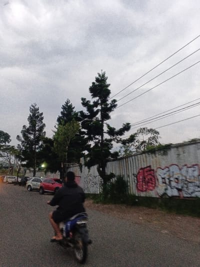 The image shows an outdoor street scene in the city of Phước Hòa, Vietnam, under an overcast sky. A person, viewed from behind, rides a blue and silver motorcycle away from the camera on a dark asphalt road. The rider wears a dark jacket or hoodie and shorts, with flip-flops on bare feet. The rear wheel of the motorcycle is blurred, indicating motion.
To the left of the road, a line of parked vehicles includes a light-colored SUV and a red SUV. Several tall, dark green trees, appearing coniferous, are situated between the parked cars and further down the road.
On the right side of the road, a corrugated metal wall, light in color, extends into the distance. This wall is extensively covered with graffiti, featuring prominent red and grey tags. Behind the trees, multiple parallel power lines stretch across the upper right portion of the sky. The overall lighting is dim and diffused. A faint light source is visible in the distant left, behind the parked cars.