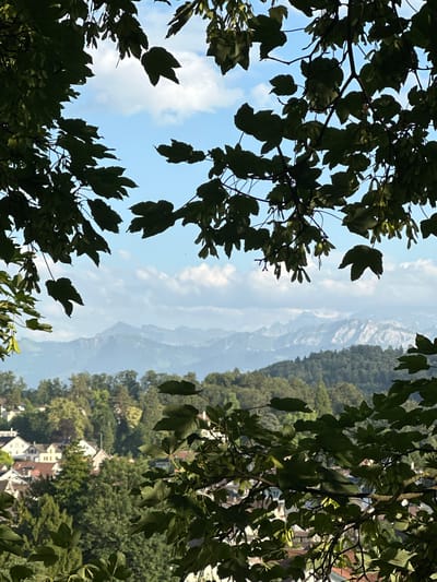 The image shows a view of a town nestled among green trees, with a range of mountains in the background, framed by the dark leaves and branches of a tree in the foreground. The sky above is a bright blue with scattered white clouds. The town appears to be situated on a gentle slope, with several buildings visible, characterized by their white or light-colored facades and red-tiled roofs. The architecture suggests a European setting. The overall atmosphere is serene and natural, with the foreground foliage creating a natural frame for the distant landscape.

The scene is consistent with a location in the city of Wald (ZH), Switzerland, known for its hilly terrain and proximity to mountainous regions. The architectural style of the houses and the lush greenery are characteristic of Swiss towns in this area. The image captures a peaceful, elevated perspective, likely taken from a higher vantage point within or overlooking the town. No people or specific actions are depicted in the image; it is a static landscape composition.
