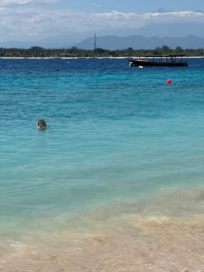 In the waters off the coast of Unknown, Indonesia, a person is swimming in crystal-clear turquoise water. The swimmer's face is visible, with their mouth open and eyes looking towards the camera. In the background, a long, wooden boat with a covered roof is anchored. Further in the distance, a lush green coastline is visible, lined with palm trees and dotted with small structures. Behind the coastline, a range of hazy mountains forms the horizon, topped by a cloudy sky. The foreground of the image shows the sandy seabed beneath the shallow water, with gentle waves lapping at the shore. Several buoys are scattered across the water, indicating a marked area.
