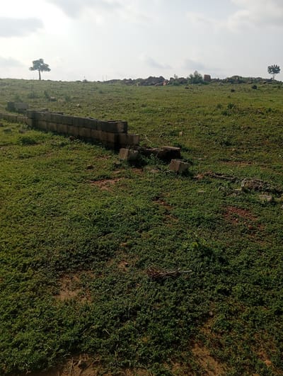 An outdoor shot captures a hilly, grassy landscape under a hazy, overcast sky. In the foreground, a low, rough wall constructed from concrete blocks stretches across the frame from left to right. Beyond the wall, the green grass continues up the slope, interspersed with scattered rocks and a few small, sparse bushes. Further in the distance, a lone tree stands on the crest of the hill to the left, while another similar tree is visible on the right horizon. The environment appears undeveloped, possibly a rural or semi-rural area outside of Tasha, Nigeria. There are no people or animals present. The overall scene is one of open, natural terrain with signs of minimal construction.