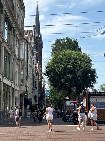 This is a vertical, full-shot photograph taken from a low angle on a sunny day, likely in the afternoon, given the bright sunlight casting distinct shadows. The scene depicts a bustling street in what appears to be Amsterdam, Netherlands, characterized by its canal-side architecture, including tall, narrow buildings with decorative facades and large windows. Power lines crisscross the sky, and a prominent church spire can be seen in the background, adding to the urban architectural landscape.
Several people are walking along the brick-paved sidewalk. In the foreground, three individuals are seen from behind, dressed in casual summer clothing like shorts and t-shirts. Further up the street, more people are visible, including a woman in a white dress and a person in a purple top and white shorts, both walking away from the camera. Bicycles are parked along the street, and a few are in motion, suggesting a common mode of transportation in this location. A red circular traffic sign with a white bar is also visible.
The atmosphere seems lively and relaxed, consistent with a pleasant day in a European city. The buildings suggest historical architecture, typical of areas like Amsterdam. There is some visible text on a dark blue sign that reads "FRENS HARINGHA". The overall impression is of a typical urban scene with people enjoying a sunny day outdoors.