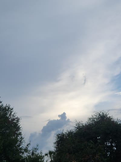 The image captures a sky filled with a mix of light and dark clouds. The lower portion of the image is dominated by the dark green foliage of trees. The sky appears overcast with hints of blue sky peeking through in the upper right corner. A bright patch of light emanates from behind the clouds in the center of the image. The scene is devoid of any people or discernible structures, suggesting an outdoor, natural environment within Altamonte Springs, United States of America.