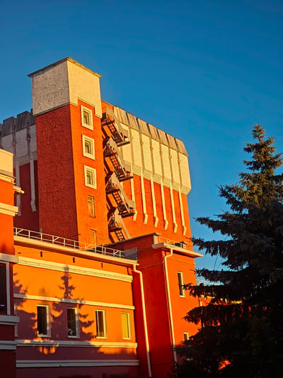 This is a photograph taken from a low angle, looking up at the side of a building and a tree against a clear blue sky. The building is predominantly orange and red brick with white accents. There is a fire escape visible on the side of the brick section. The lower part of the building is painted a vibrant orange and features several windows. The shadow of a conifer tree is cast upon this orange section, creating an intricate pattern. The top section of the building is a tower-like structure, clad in white brick with red brick detailing at the base. A large conifer tree with dark green needles is positioned to the right of the building, partially obscuring it. The sunlight is hitting the building from the right, casting long shadows and highlighting the textures of the brickwork and the tree. The image appears to be taken during the golden hour, likely late afternoon or early morning, due to the warm lighting. The location is identified as Kimry, Russia, although no specific landmarks are visible to confirm this definitively within the frame. There are no people or animals visible in the image.