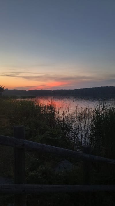 This is a vertical, wide-angle photograph taken at dusk, likely overlooking a lake or body of water from a grassy bank. The sky dominates the left side of the image, transitioning from a pale blue at the top to soft hues of orange and pink near the horizon. A thin strip of dark trees forms the distant shoreline.
The middle ground features the calm water, reflecting the colors of the sunset. Reeds and tall grasses grow densely along the edge of the water, creating a textured foreground on the right. In the far right of the frame, a dark wooden fence or railing runs parallel to the shore, with a portion of it in focus. The overall mood is peaceful and serene, characteristic of a sunset.
There is no visible text in the image. Based on the provided location context, this scene is likely in Pilsen, Czechia. The lighting suggests it is late evening. The weather appears calm.
