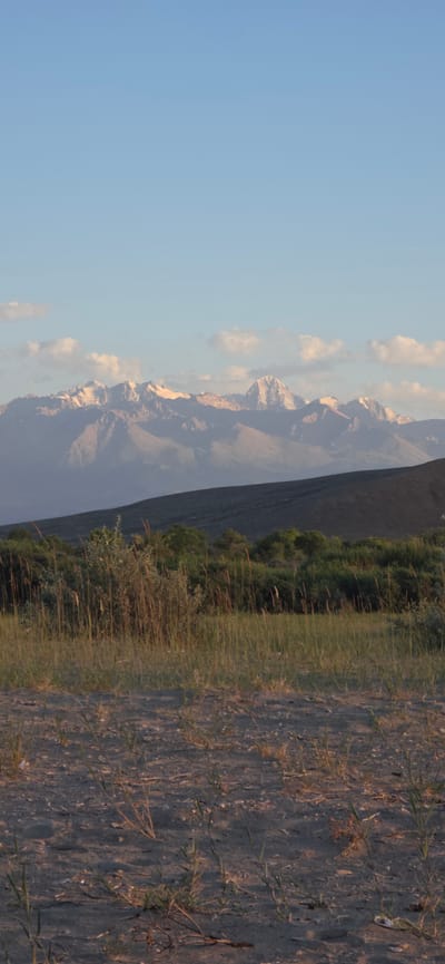 This is a vertical, eye-level, medium shot of a mountain range in Boz Beshik, Kyrgyzstan. The sky is a pale blue with scattered, wispy white clouds. The mountain range is in the background, with snow-capped peaks and rugged, rocky slopes. Below the mountains is a dark, undulating hill. In the mid-ground, there is a dense line of green vegetation, including trees and bushes, with tall, dry grasses in the foreground. The ground in the immediate foreground is sandy and sparse with a few tufts of grass. The lighting suggests it is late afternoon or early evening, with the sun casting a warm glow on the mountain peaks. There are no people or animals visible in the frame.