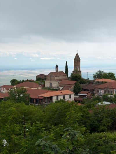 This is a medium shot, taken from a high vantage point, of the town of Sighnaghi, Georgia. The foreground is dominated by lush green trees and foliage, obscuring the lower portions of the town. In the mid-ground, terracotta-tiled roofs of various buildings are visible, nestled amongst the trees. Prominently featured are two religious structures. To the left, a stone church with a red-tiled roof and a dome is partially visible. To the right, a tall, weathered brick bell tower, characteristic of Georgian architecture, stands with arched openings and a cross at its apex. Several other stone and brick buildings with red tile roofs are scattered throughout the mid-ground. In the background, a hazy, expansive view of a valley floor is visible, with indications of fields and possibly a river or roads, under a cloudy sky. There are no people or animals visible in the scene. The overall impression is one of a historic hilltop town with a prominent religious presence, surrounded by natural greenery and overlooking a vast landscape.