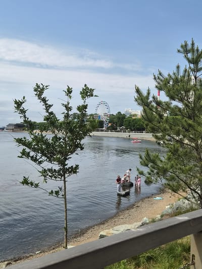 The image depicts a scenic waterfront scene, likely in Vladivostok, Russia, during what appears to be a pleasant day with clear blue skies and scattered clouds. The perspective is from a slightly elevated position, looking down towards the water and the opposite shore.
In the foreground, a large tree branch with green leaves partially obscures the view. The water itself is calm, reflecting the sky and surrounding elements. Along the water's edge, a sandy or pebbly shore is visible, with a few large rocks and some scattered debris.
On the shore and in the shallow water, a group of people are present. Some are standing on rocks, while others are wading in the water. Their clothing suggests casual attire, and their postures indicate they are enjoying the water or the waterfront. One individual is wearing a pink top, another a white shirt, and a third appears to be in a burgundy top. A light blue towel is visible on the shore.
Further in the background, across the water, a tree-lined embankment is seen. Beyond the trees, buildings are visible, suggesting an urban or semi-urban environment. A prominent feature is a Ferris wheel, indicating a recreational area or amusement park. A red and white striped smokestack or tower is also visible, along with a small red boat on the water. The presence of these elements suggests a tourist or recreational spot.
The overall mood of the image is relaxed and leisurely, with people enjoying outdoor activities by the water on a sunny day. The time of day appears to be daytime, given the brightness and the shadows cast.