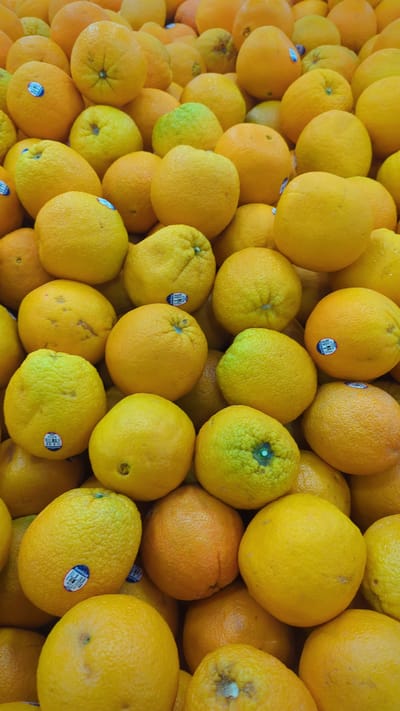 This media file shows a close-up, overhead view of a large pile of ripe oranges. The oranges are a vibrant yellow-orange color and appear to be fresh, with a slightly bumpy texture. Many of the oranges have stickers on them, some of which are blue and white with a barcode and text. The lighting suggests it is daytime. The setting appears to be a market or produce stand, likely in Montreal, Canada, given the context. There are no people visible. The image is a still shot with no activity taking place, but the arrangement of the fruit implies they are being displayed for sale.