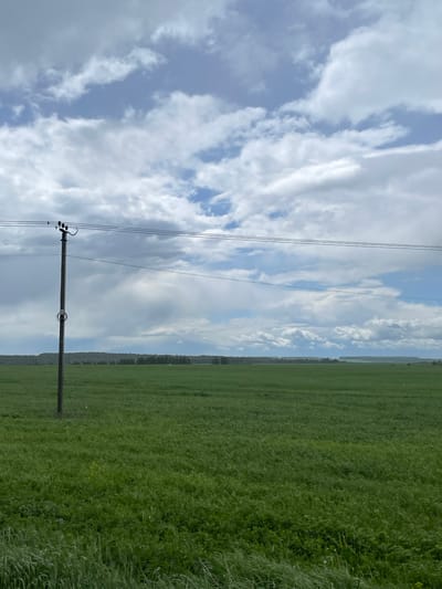 The image shows a rural scene, likely in or near Петрово, Russia, although specific landmarks are absent. A utility pole stands in the foreground with power lines stretching across a sky filled with scattered clouds. To the right, a green field extends into the distance, potentially a meadow or agricultural land. The photograph has a slightly tilted perspective. There are no visible people, specific subjects, or actions taking place. The primary interaction is the juxtaposition of the man-made utility structure within a natural landscape.