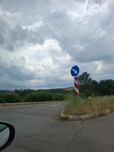 The image depicts a road intersection with a traffic sign on the right. The traffic sign is a blue circular sign with a white downward-pointing arrow, indicating a mandatory turn. The signpost is striped red and white. The road is asphalt and appears worn, with cracks visible. Vegetation, including tall grasses and some yellow flowers, surrounds the base of the signpost. In the background, there is a dense line of green trees and shrubs, with rolling hills and a cloudy sky overhead. The scene appears to be in a rural or semi-rural area. The location is identified as the city of Dolna Malina, Bulgaria. The image is taken from the perspective of someone inside a vehicle, as indicated by the car's side mirror visible in the lower left corner. No people or actions are depicted.