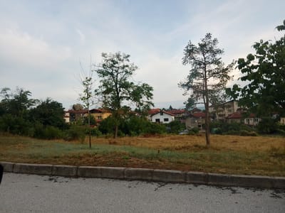 The image depicts a suburban area in Kostenets, Bulgaria, with a clear view of residential buildings and surrounding vegetation. In the foreground, a paved road is visible, bordered by a concrete curb. Beyond the curb, a strip of dry, yellowish grass transitions into a patch of green grass. Several trees are scattered across the middle ground, with their branches reaching towards the sky. Behind the trees, a cluster of houses with red-tiled roofs and light-colored walls can be seen. The sky above is a pale blue with wispy clouds, suggesting it is either early morning or late afternoon. The overall impression is one of a peaceful, residential neighborhood in a rural or semi-rural setting.