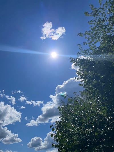 The image captures a bright, sunny sky over Brovary, Ukraine. The sun is high and appears to be near its zenith, casting a strong glare and lens flare across the scene. Fluffy white cumulus clouds are scattered throughout the deep blue sky. In the foreground, the upper branches and dark green foliage of a tree obscure a portion of the right side of the frame. The lighting suggests it is daytime, likely midday, with clear weather conditions. No people or specific landmarks are visible.