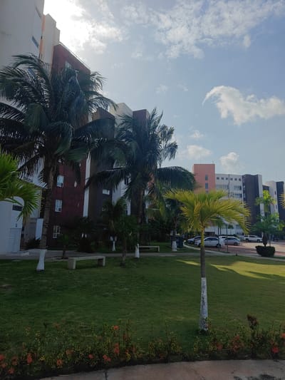 This media file captures a bright, sunny day in Cancún, Mexico, with a view of a modern apartment complex and its surrounding tropical landscape. The scene is dominated by tall palm trees with lush green fronds, some of which are casting dappled shadows on the manicured lawn. A bright yellow-green palm tree stands prominently in the foreground.

In the background, a series of multi-story buildings are visible, featuring a mix of architectural styles and colors. Some buildings are painted white, while others have accents of deep red, orange, and dark brown. White-framed windows are visible on many of the buildings. The sky is a clear blue with scattered white clouds, suggesting pleasant weather.

The ground level of the complex appears to be a well-maintained grassy area with a concrete path and some flowering bushes with red blooms in the lower part of the frame. A concrete bench is situated on the lawn, suggesting a place for relaxation. In the distance, several cars are parked in a lot, and a few people can be seen walking near the buildings. The overall impression is one of a tranquil and sunny resort or residential area. The lighting and shadows suggest it is late morning or early afternoon. No visible text is present in the image.