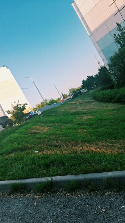 This media file shows an outdoor scene, likely in Khabarovsk, Russia, with a bright blue sky. The image is oriented sideways, presenting a perspective that combines elements of urban infrastructure and a grassy embankment.

On the left side of the frame, a modern building with a light-colored facade, possibly made of glass and concrete panels, is partially visible. Trees with green foliage are seen growing around and near the building. Reflections of the building and trees are present on a surface, suggesting a highly reflective material or a body of water. In the distance, a construction crane is visible against the sky, indicating ongoing development or construction work.

The right side of the image features a lush green grassy area that slopes upwards, transitioning to a darker, coarser texture which appears to be an asphalt surface bordering the grass. A concrete curb separates the grass from the asphalt. Several lampposts are also visible along the grassy area, suggesting a public space like a park, street, or sidewalk. A few parked cars can be seen along a path or road in the mid-ground, and some people are faintly discernible in the distance.

The lighting suggests it is daytime, with sunlight casting shadows and highlighting the textures of the grass and asphalt. The clear blue sky indicates fair weather. The overall scene appears to be a somewhat sterile, modern urban environment juxtaposed with natural elements like grass and trees. There is no visible text in the image.