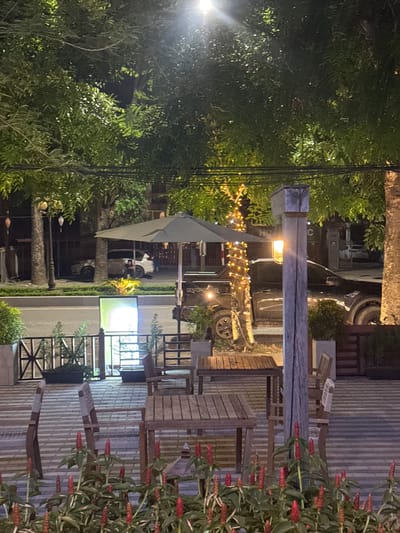 This is a low-angle, night time, medium shot of an outdoor seating area. The area appears to be part of a cafe or restaurant in the city of Nam Hoa Lư Ward, Vietnam. In the foreground, there are several red helical flowers. Behind the flowers, there are wooden tables and chairs, and a fence. Beyond the fence, there is a street with parked cars and trees. Some of the trees are decorated with string lights. There are a few people visible, one sitting on a white SUV, and another person standing behind a dark colored truck.