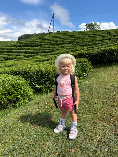In Izmaylovka, Russia, a young Caucasian girl stands in a lush green field, wearing a white sun hat, a pink t-shirt with a cupcake and rabbit graphic, pink patterned shorts, white socks with green graphics, and light purple sneakers. She has a black backpack on. The girl is positioned in the foreground, with terraced green bushes, likely a tea plantation, stretching up a hillside behind her. The sky is blue with scattered white clouds, and a power line pole with wires is visible on the left side of the image. The ground beneath the girl is covered in green grass with small white flowers.