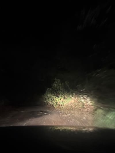 The image displays a nighttime scene on an unpaved road, observed from a low vantage point consistent with the interior of a vehicle, in what is identified as La Marquesa, Mexico. The foreground is illuminated by a powerful artificial light source, presumably vehicle headlights. This light reveals a light brown, uneven road surface, indicative of dirt or gravel. Centrally positioned and illuminated is a dense bush with green foliage. To the right of this bush, a patch of lighter-toned vegetation, possibly dried, is visible. The upper and lateral areas of the frame are obscured by darkness, with indistinct dark shapes suggesting surrounding trees or dense vegetation. A dark, horizontal band occupies the bottom portion of the image, consistent with a vehicle's dashboard or hood. No individuals, specific man-made objects beyond the implied vehicle structure, or explicit actions or interactions are discernible within the frame. The environment is rural or natural.