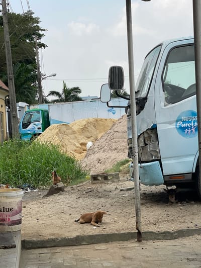 This image depicts an outdoor scene in Badore, Nigeria, characterized by an urban environment with elements of construction and animal presence under an overcast sky.
In the immediate foreground, a light blue truck occupies the right side, showing significant damage to its front bumper and headlight area, with paint peeling and a light blue substance patching the front. The "Nestle Pure Life" logo is visible on its door. Partially visible beneath this truck is a dark-furred dog lying down. A metal pole, likely part of a utility structure, stands in front of the truck on the right.
To the left of the foreground truck, a reddish-brown puppy lies on a dirt ground, seemingly interacting with a small piece of debris. Further left, a white paint bucket with the word "VALUE" visible is positioned on a paved curb.
In the mid-ground, a large pile of light brown sand dominates the center, with another, lighter-colored sand pile behind it. To the left of the sand piles, a brown chicken stands on a concrete block amidst tall green grass and scattered refuse. Behind the sand piles, a second light blue and green truck with a white cargo body is parked. Text on its side reads "SUPPORT YOUR IMMUNE SYSTEM WITH ZINC."
The background features residential structures, utility poles with overhead wires, a streetlight, and various trees, including palm trees, under a light grey, cloudy sky. The ground throughout the visible area is primarily unpaved dirt with scattered debris and concrete blocks.