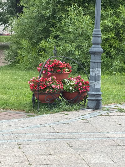This media file features an outdoor scene, likely in a park or a well-maintained public space. The primary subjects are two decorative terra cotta planters filled with vibrant red, pink, and white flowers. These planters are supported by an ornate black metal stand, which is affixed to the base of a dark gray, classical-style lamppost. The lamppost itself has decorative, carved detailing, suggesting an older or traditional aesthetic.
The planters and lamppost are situated next to a paved walkway made of light-colored granite tiles. The tiling pattern is regular, with some areas showing wear or slight discoloration. To the left of the lamppost and planters, a lush, green lawn extends into the background. Behind the lawn, there is a dense cluster of green foliage, possibly a willow tree with its characteristic long, slender leaves.
The image appears to have been taken during daylight, likely in the morning or afternoon, with overcast or diffused lighting, as there are no strong shadows. The weather seems temperate and possibly humid, given the vibrant green of the grass and leaves. The overall impression is one of a peaceful and aesthetically pleasing urban landscape, perhaps designed for relaxation or walking.
There is no visible text in the image, nor are there any people or animals depicted. The focus is solely on the decorative elements and the natural surroundings. The location context provided, Ulyanovsk, Russia, suggests a European setting for this garden feature.