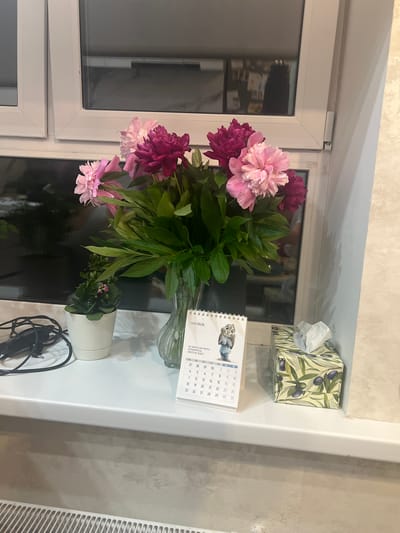 The image shows a still life on a windowsill in an apartment in Magnitogorsk, Russia. In the center is a vase of pink and magenta peonies. To the left of the flowers is a small potted plant with green leaves and small pink flowers. A black electrical cord is coiled on the windowsill to the left of the plant. To the right of the peonies is a box of tissues with an olive branch pattern and a few tissues pulled out. A small desk calendar with a cartoon rabbit wearing a blue suit is positioned in front of the tissue box. The windowsill is white and appears to be made of plastic. In the background, a window with white frames looks out onto a dark interior space, possibly another room or hallway. A radiator is visible at the bottom of the frame.