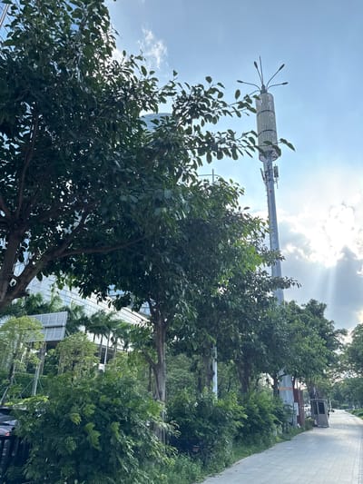The image depicts a street scene in Tianhe District, China, with a paved sidewalk running alongside a row of trees. A tall, slender communication tower with a cylindrical lattice structure and multiple antennas at its apex is visible in the background, silhouetted against a bright sky with scattered clouds. Sunlight streams through gaps in the clouds, creating visible rays. To the left of the tower, a modern building with a reflective glass facade can be seen peeking through the trees. The foreground is dominated by lush green foliage from several trees and dense bushes. A few parked vehicles, including a motorcycle, are partially visible to the left, and further down the sidewalk, a small, grey kiosk or booth stands beside the path. The overall atmosphere is that of an urban environment with abundant greenery.