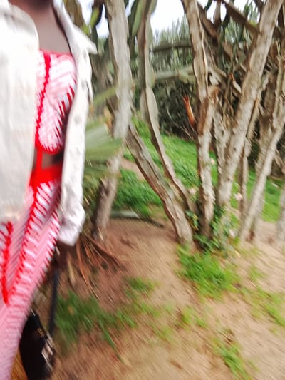 The image, possibly taken in Kuru Dungus, Nigeria, depicts a person wearing a white jacket and a red and white patterned garment. The setting appears to be a natural environment with multiple tree trunks and green vegetation on the ground. The ground is predominantly brown. There is also a blurry, dark object near the person. The background includes more trees and possibly a fence.
