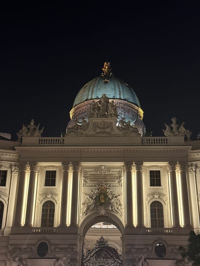 This is a night-time, eye-level, full-shot photograph of the exterior of the Hofburg Palace in Vienna, Austria. The palace, illuminated by artificial lights, features a prominent, light-green dome topped with a golden statue. The facade is adorned with classical architectural elements, including columns, sculptures, and an arched entryway. The dark night sky serves as the backdrop. There are no people visible in the image.