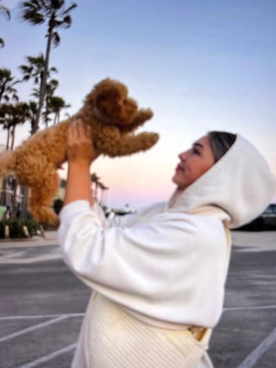 A blurry, medium shot captures a young woman in a cream-colored hooded sweatshirt holding a small, light brown poodle puppy aloft with her left arm. The woman is looking upwards, her face in profile. The puppy is suspended in the air, facing the woman and its body angled upwards, with its paws extended. The background features a twilight sky with hues of blue, pink, and purple. Several palm trees are visible on the left side of the frame, their fronds appearing windswept. The ground is paved and appears to be a street or parking lot, with painted white lines. The scene appears to be outdoors in a warm climate, possibly near a beach or coastal area. The location is not Beșalma, Moldova.