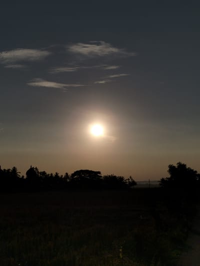 The image depicts a serene sunset over a rural landscape, possibly in Uleegajah, Indonesia. The sun, a bright, luminous orb, is positioned centrally in the sky, casting a warm, golden glow that fades into a dusky blue at the top. Wispy, white clouds are scattered across the upper portion of the sky, adding texture to the scene.
Silhouetted against the vibrant sunset are the dark outlines of trees and a domed structure, likely a mosque, on the left side of the frame. The foliage is dense, with the distinct shapes of palm trees visible amongst other tropical vegetation. The foreground is a dark expanse, possibly a field or open land, with a hint of vegetation or crops. A dirt path or road is faintly visible on the right side, leading into the distance. The overall atmosphere is tranquil and picturesque, capturing the beauty of a tropical evening.