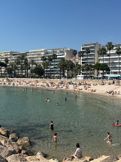 The image depicts a sunny day at a beach in Cannes, France. The beach is crowded with people sunbathing, swimming, and relaxing. The water is clear and shallow near the shore, transitioning to a deeper turquoise further out. A line of tall apartment buildings and hotels backs the beach, punctuated by palm trees. A rocky barrier separates the water from the beach at the edge of the scene. The overall impression is one of a popular and lively tourist destination.