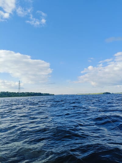 A wide, choppy expanse of dark blue water dominates the foreground of this image, reflecting a bright blue sky dotted with fluffy white clouds. In the middle ground, a tree-lined shoreline stretches across the horizon. On the left side of the shore, a tall, lattice-style transmission tower is visible. In the distance, a long bridge spans the water, with smaller structures also appearing along the coastline. The image appears to be taken from a boat, with the rippling water suggesting movement. The overall scene evokes a sense of open space and natural scenery.