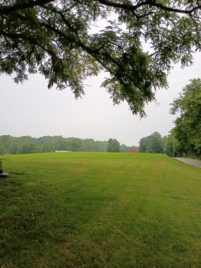 The image shows a grassy field in a rural area, possibly on the outskirts of Frankfort, United States. A portion of a tree with green leaves hangs into the frame from the top left. The field is a vibrant green and slopes gently upwards towards a line of trees in the background. A red building and some other structures are visible among the trees. A paved road curves into the scene from the right, with a green road sign visible. The sky is overcast and hazy. The scene appears calm and undisturbed, with no people or animals present.