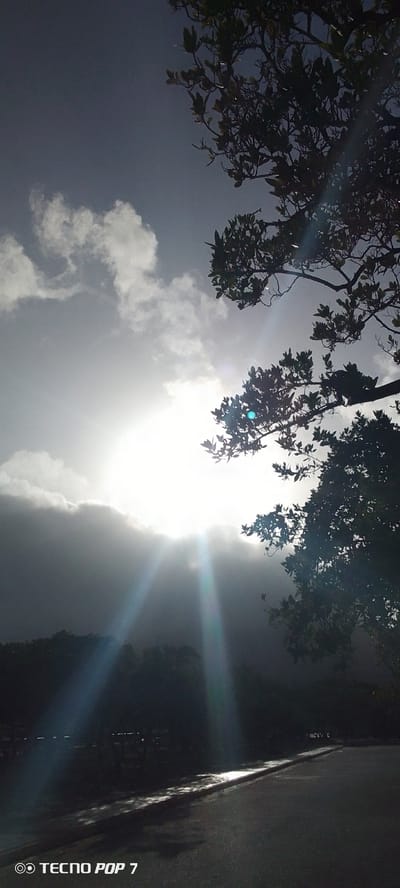 The image captures a dynamic sky over a landscape that appears to be near a body of water, possibly a bay or beach, in the city of Pedro González, Venezuela. The sun is partially obscured by dramatic clouds, creating strong light rays that pierce through the atmospheric haze. Silhouetted against the bright sky are the dark branches and leaves of trees, positioned in the upper right and middle right of the frame. The foreground features a wet asphalt surface, suggesting recent rain or proximity to the sea, with distinct reflections of light and shadows. The lower left corner of the image includes a watermark that reads "TECNO POP 7." There are no visible people or specific actions depicted in the scene. The overall impression is one of natural beauty with a dramatic interplay of light and shadow.