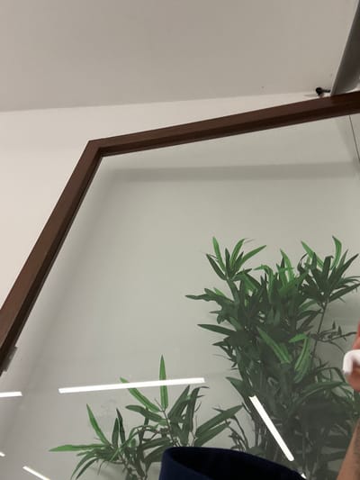The image presents an interior scene, observed through a clear glass partition framed by a dark brown or bronze-colored angular structure in the upper portion. The precise location within Guimarães, Portugal, cannot be determined from the visual evidence.
The environment behind the glass consists of a light-colored wall or ceiling. A prominent, lush green plant, likely artificial, with numerous slender, pointed leaves, is positioned against this light background. Two distinct, horizontally oriented, bright linear light fixtures are reflected on the glass surface, appearing to be situated behind or above the plant. A partial reflection of a third similar light is visible at the bottom right. In the upper right corner, a dark object, possibly part of a fan or another fixture, is partially visible against the light background.
At the far right edge of the image, a human hand with a light skin tone and a white-painted fingernail on the visible finger is present. The hand is holding a small, irregularly shaped, white, soft object, resembling a cotton ball or tissue. A section of dark blue fabric, possibly clothing or upholstery, is visible along the bottom edge of the frame. No discernible actions or interactions beyond the static grip of the hand on the white object are depicted.