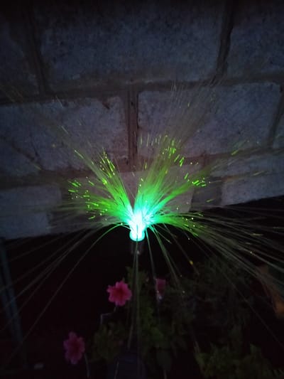 An outdoor, eye-level, medium shot shows a green fiber optic light in front of a brick wall at night. The light, which is the primary subject, is emitting a bright green glow and is surrounded by thin, glowing fibers that spread outwards. The background consists of a dark brick wall above and dark foliage below, with two small pink flowers visible amongst the plants. The scene appears to be in a garden or outdoor space within the city of Shchastia, Ukraine.