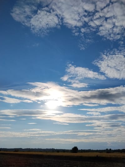 The image depicts a landscape scene under a vast blue sky filled with various clouds, from wispy cirrus formations to more substantial cumulus clouds. The sun is partially obscured by a layer of clouds, casting a bright, diffused light across the sky. Below the sky, a horizon line is visible, separating the sky from the land. The land appears to be a rural area, with fields of golden-brown vegetation, likely crops, stretching towards a distant treeline. A few scattered trees are present, one being a more prominent dark-leaved tree in the mid-ground. The foreground shows a darker, possibly plowed field. The overall impression is that of an open, natural environment, likely in the countryside. The location is identified as Ustyvytsya, Ukraine. There are no people or animals visible in the frame.
