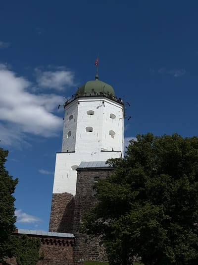 This is a photograph of the Vyborg Castle tower, viewed from below, against a bright blue sky with scattered white clouds. The tower is predominantly white with a green conical roof. It has several small, arched windows and is topped with a flag. The base of the tower is constructed of rough-hewn stone. A large, dark green tree with dense foliage partially obscures the upper right portion of the tower and the sky. The image is oriented vertically, with the sky occupying the majority of the frame. The lighting suggests it is daytime, likely midday or afternoon, with bright sunlight casting shadows. There is no text visible in the image. The scene depicts a historical landmark under a clear sky, suggesting a pleasant day for visiting the castle.