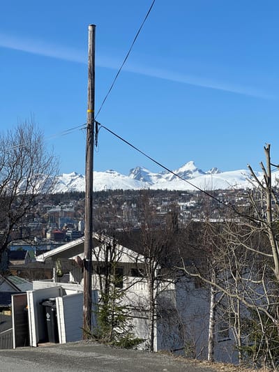 The image captures a vibrant landscape featuring a town set against a backdrop of snow-capped mountains under a clear blue sky.

In the foreground, a prominent wooden utility pole, equipped with multiple wires, stands vertically on the left side of the frame. Bare tree branches, indicative of winter or early spring, frame the scene from both the left and right, with some branches appearing recently trimmed. On the lower right, parts of urban structures are visible, including building facades, rooftops, and what appears to be a concrete wall or pathway. A dark trash bin with unreadable white text is discernable near one of the buildings, as is a dark sign above a doorway, also with illegible text.

The midground reveals a town, likely residential and commercial, sprawling across a hillside. Numerous buildings with varied architectures and rooflines are scattered throughout, interspersed with more bare trees.

Dominating the background are majestic, snow-capped mountains, their peaks gleaming under a vast, bright blue sky. A faint, thin white line, possibly a contrail or atmospheric phenomenon, streaks diagonally across the upper portion of the sky.

The scene is bathed in bright daylight, suggesting a clear, sunny day, likely in late winter or early spring given the snow on the mountains and the bare trees. The overall setting—a town nestled amidst mountains with a view of a vast expanse of water (implied by the mountainous coastal city context of Tromsø, Norway)—is picturesque. There is no specific activity taking place, and aside from a yellow band on the utility pole, no legible text is visible. The atmosphere is calm and serene.