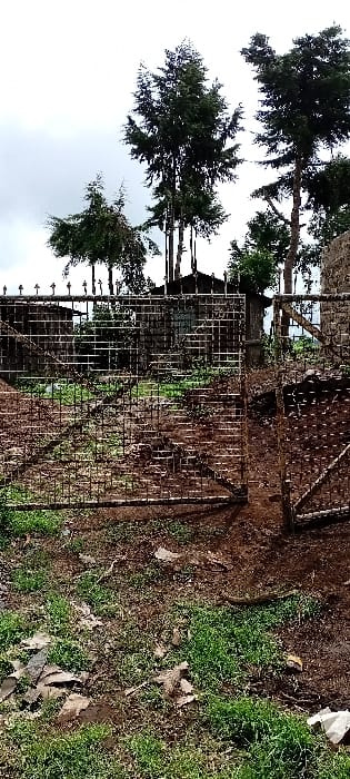 This image captures an outdoor scene in Rwanyambo, Kenya, featuring a rusted metal gate partially open, leading into a property with visible structures and trees under an overcast sky.
In the foreground, the ground consists of dark, damp soil intermixed with patches of green grass and scattered dry leaves or debris. The ground exhibits an uneven texture.
The midground is dominated by a dark, heavily rusted metal gate. The gate comprises two main panels; the left panel is closed, while the right panel is slightly ajar, swinging inward. The gate features a grid design with horizontal and vertical bars, topped with decorative finials. A vertical metal post serves as the right gatepost.
Beyond the gate, the ground slopes upward. In the background, several tall, slender trees with dense, dark green foliage rise against a light gray, cloudy sky. Multiple structures are visible through and above the gate, including what appears to be a stone or concrete wall with a metal railing on the left, and several rustic, possibly wooden or corrugated metal buildings with dark roofs partially obscured by vegetation and the gate. One building shows a window-like opening. No people or animals are visible, and no discernible actions or interactions are depicted.