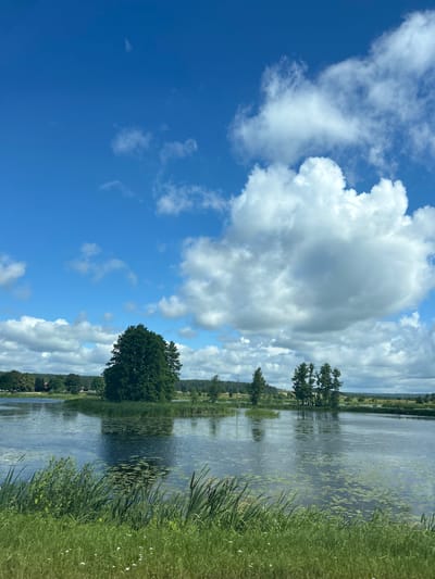 This is a landscape photograph taken in the Валожынскі сельскі Савет, Belarus, featuring a body of water with several small islands and a line of trees in the background. The sky is a vibrant blue with fluffy white clouds. In the foreground, tall green grass and reeds grow along the edge of the water. The water itself is calm and reflects the sky and surrounding trees. Small lily pads are scattered across the surface of the water. There are no people or animals visible in the image. The overall scene depicts a serene natural environment under a bright, partly cloudy sky.