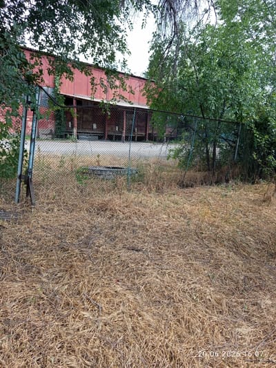 The image shows an outdoor scene with a red building in the background, partially obscured by trees and a chain-link fence. The foreground is covered in dry, brown grass and some twigs. A concrete structure, possibly a well or a large pipe, is visible in the middle ground behind the fence. The building appears to be industrial or a warehouse, with open bays visible. The fence runs horizontally across the image. There are no people visible in the image. The timestamp "20.06.2026 16:07" is present in the bottom right corner, indicating the date and time the image was captured. The overall impression is one of disuse or neglect.