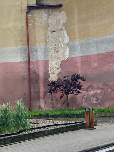 The image depicts an outdoor scene in the city of Bílina, Czechia. The foreground shows a paved walkway with a curb, leading to a planter bed. The planter bed contains tall green grass on the left and gravel with black edging in the middle. To the right of the planter, a modern, cylindrical trash bin with wooden slats and a dark metal frame stands on a concrete base.
In the mid-ground, a small, dark-leafed tree is planted in the gravel area. Behind the planter and the tree, a section of a building wall is visible. The wall is painted in horizontal stripes of yellow, gray, and pink. A significant portion of the wall, particularly in the upper yellow and gray sections, shows peeling plaster and exposed brickwork, indicating wear and tear. A red downspout runs vertically along the left side of the wall. The background wall also shows patches of discoloration and what appear to be water stains or organic growth. The overall environment suggests an urban setting with some landscaping and an aging building.